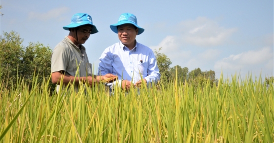 Japanese rice produced to SRP standards is having an unprecedented ...